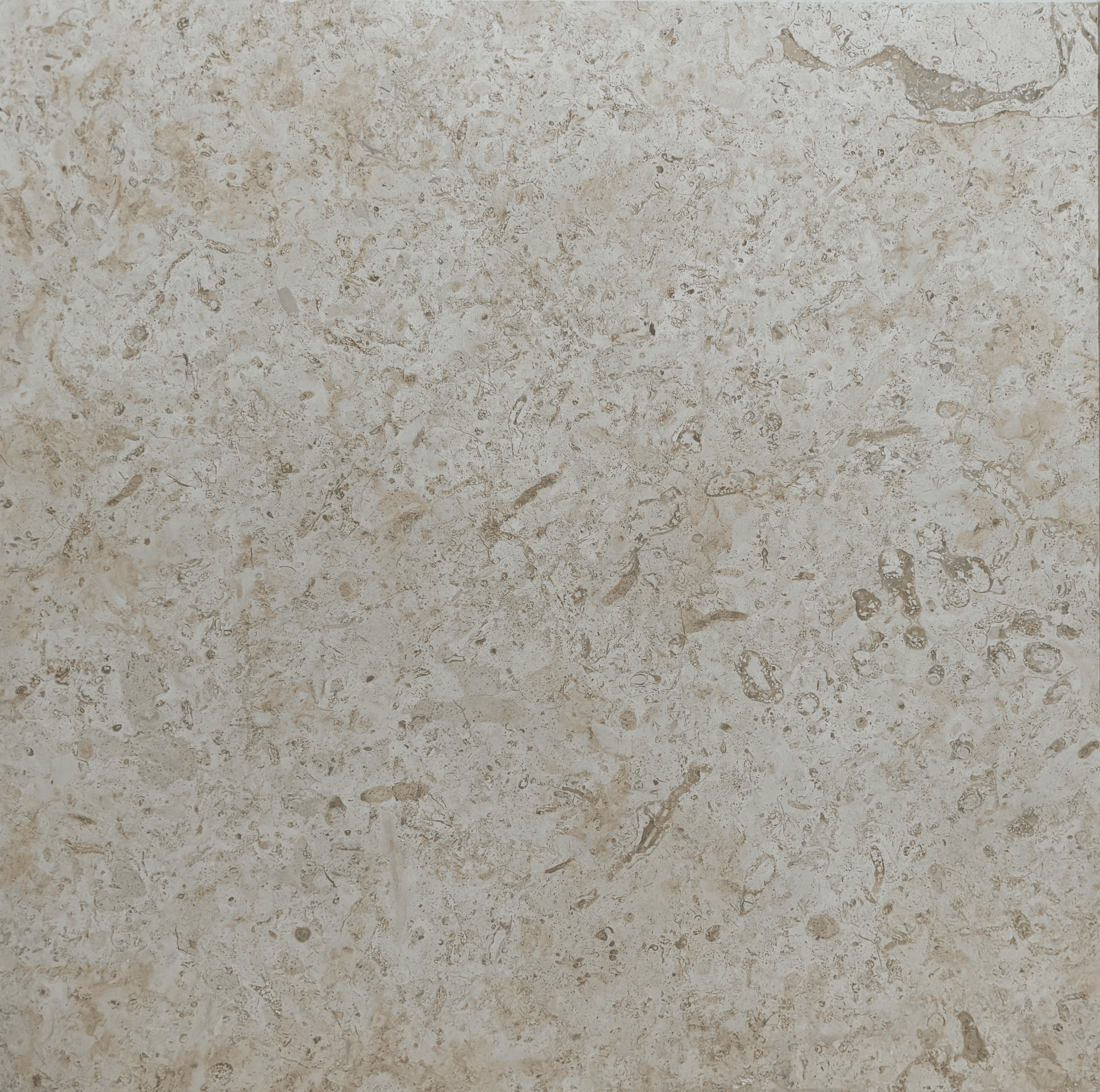 Dusky Beige