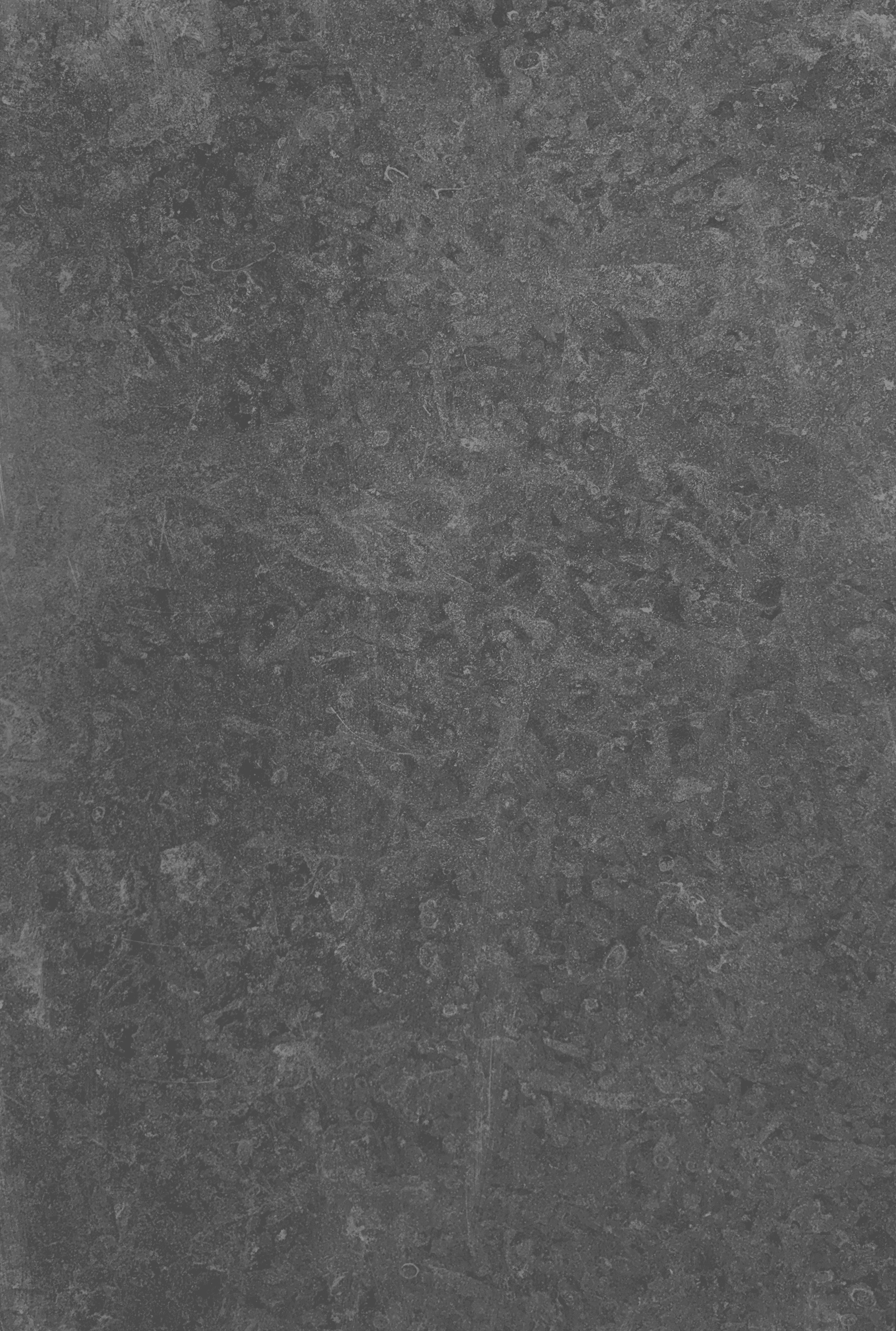 Elite Gray
