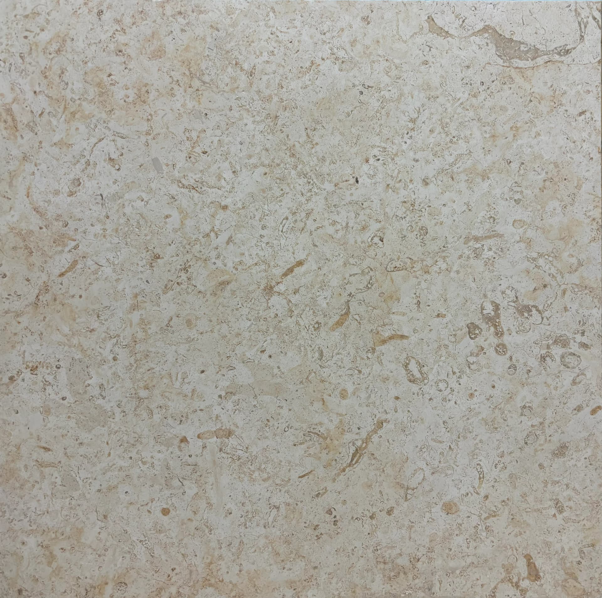 Jerusalem Dusky Beige