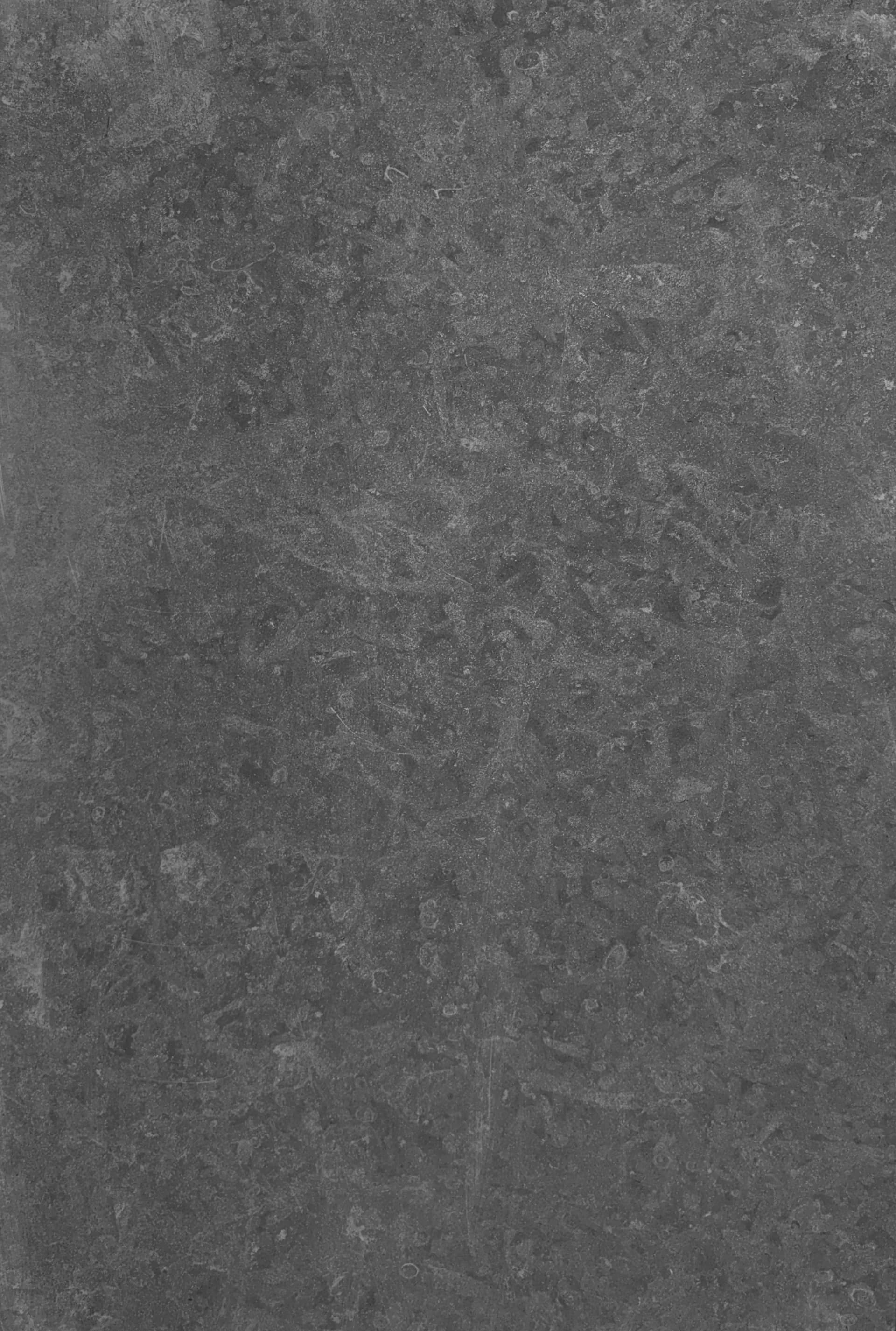 Jerusalem Elite Gray