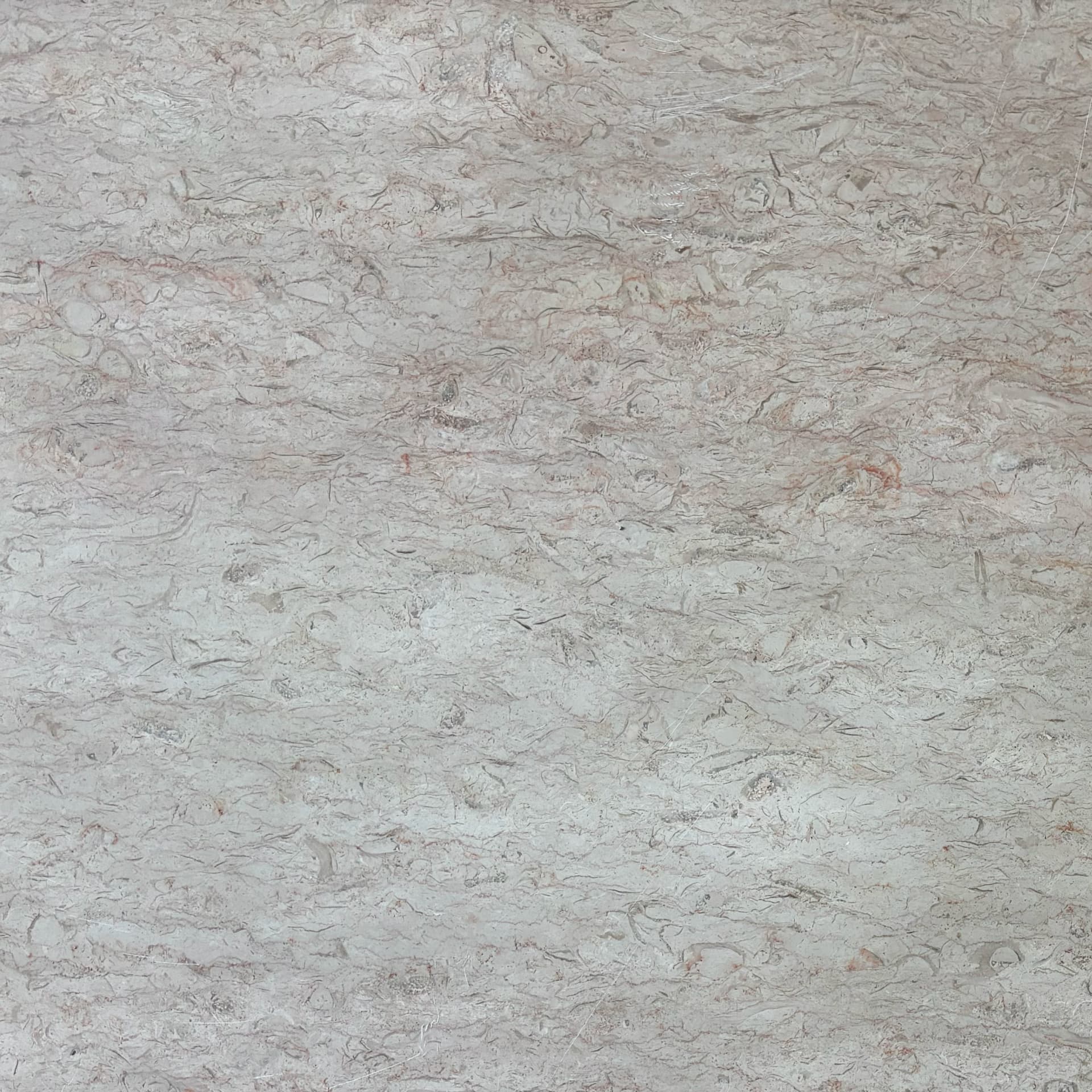 Jerusalem Ivory Mist